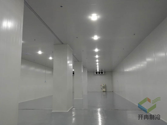 建造5000m3工業自動化冷庫安裝費用價格是多少？