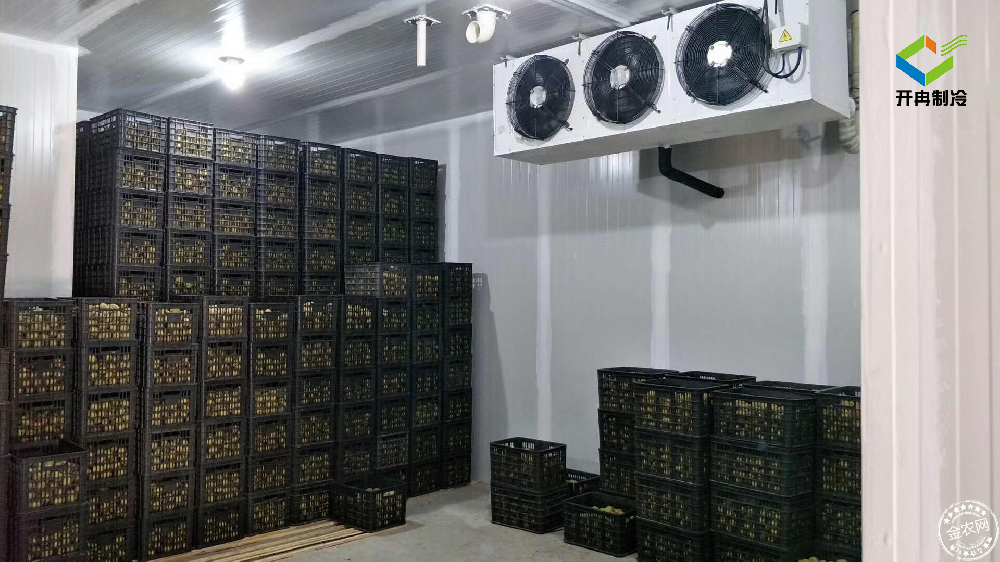 建造一個(gè)100噸的水果保鮮冷庫(kù)多少錢？
