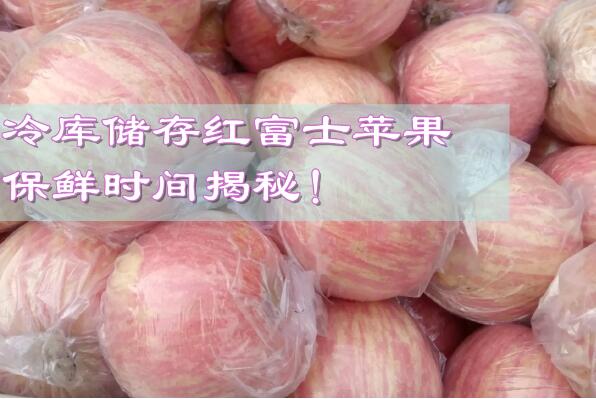 冷庫儲存紅富士蘋果，保鮮時間揭秘!