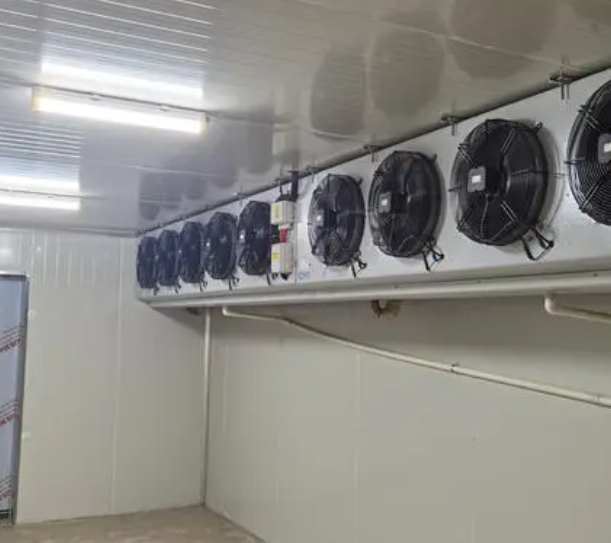 速凍冷庫的優點有哪些？_上海開冉制冷