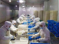 青島安裝一個水產海鮮冷凍庫需要多少錢？