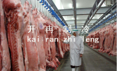 上海1000噸肉類冷庫設計，冷庫造價需要多少