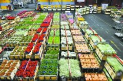 1000平米鮮花冷庫怎么安裝？造價費用是多少