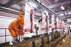 冷庫造價應該如何計算？1000噸凍肉冷庫大概多少錢？