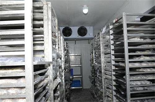 2000噸魚類冷庫(kù)