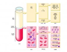 -30℃～-80℃血漿蛋白低溫冷凍庫規范，冷庫安裝價格