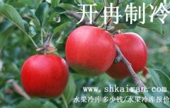 水果冷庫報價、一個水果冷庫多少錢