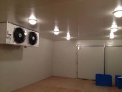 220V能建冷庫多大？（低溫冷庫）