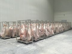 拼裝式冷庫建造工程造價，-18℃豬肉冷凍庫設備