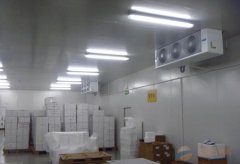 大型2-8℃試劑冷庫(kù)醫(yī)藥冷庫(kù)建設(shè)，體外診斷試劑冷庫(kù)