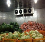50噸蔬菜保鮮庫決定造價的因素有哪些？