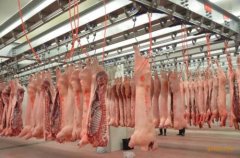 上海安裝600平米肉類冷凍庫價格是多少，600平米冷庫的耗電量怎樣