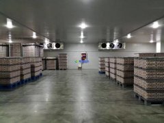 安裝1300噸水果冷藏庫預(yù)算是多少？后期用電能耗大嗎？