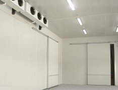 竹筍氣調庫預算成本是多少？竹筍的保存方法