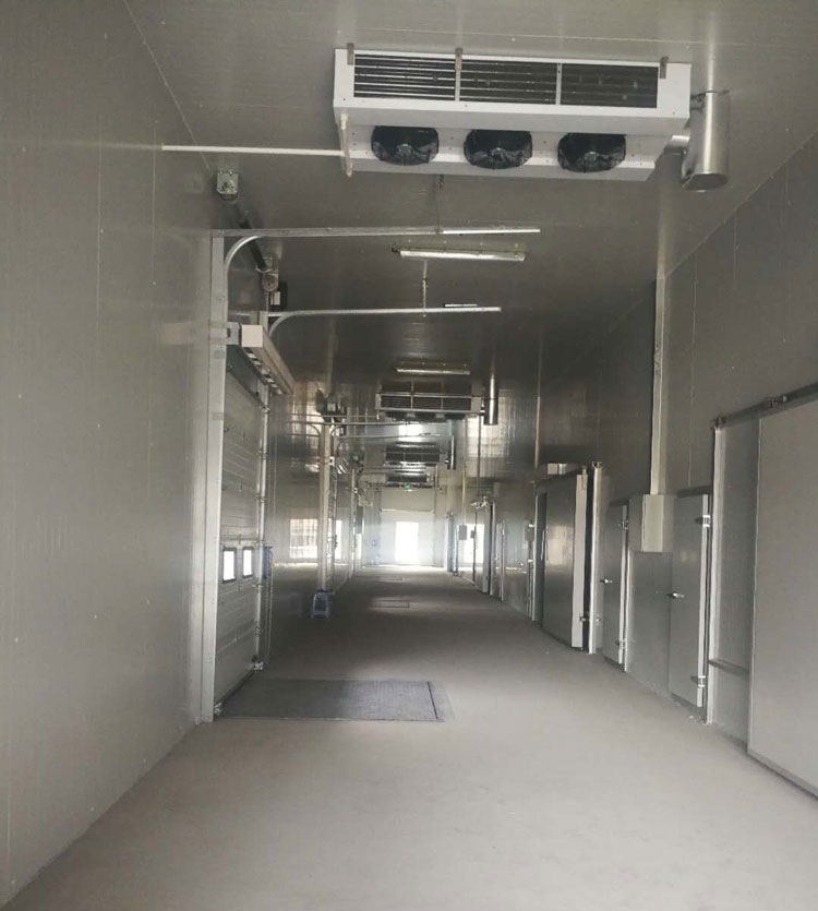 -25℃低溫海鮮魚肉加工廠冷凍庫安裝設(shè)計標(biāo)準(zhǔn)費用多少？